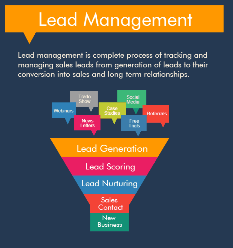 lead magnet and nurturing