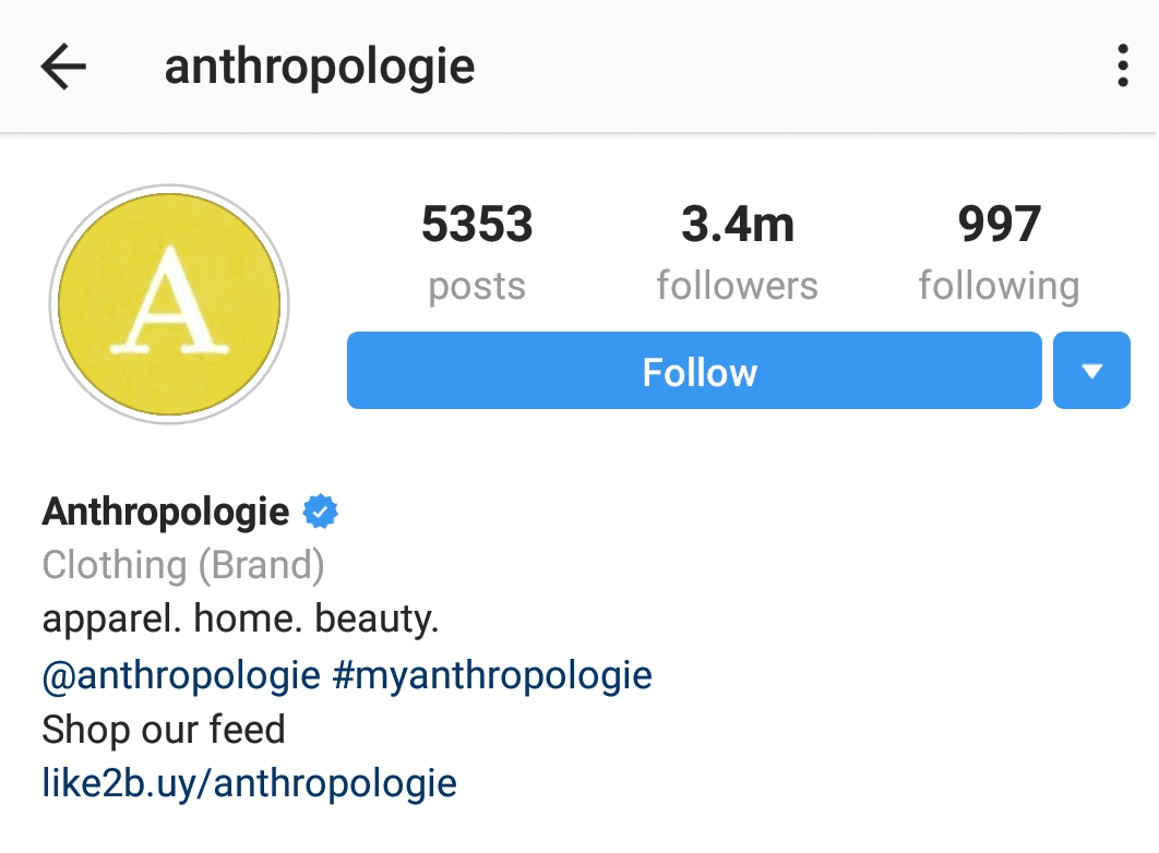 Instagram bios