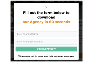 B2B Traffic Generation Form