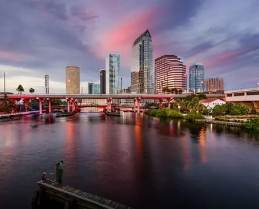 Hillsborough County Tax Collector website case study