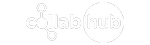 CollabHub — B2B IT marketing agency client logo